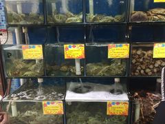 -蚝专家(北滘店)