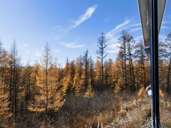 -莫尔道嘎国家森林公园