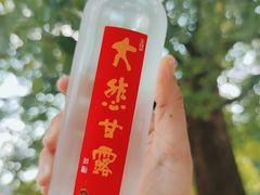 -龙华寺