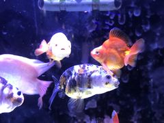 -FEELINGME乐刻私教馆·健身(沿海赛洛城店)