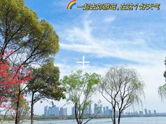 -渤公岛生态公园