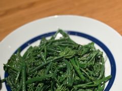 清炒丝瓜苗-一坐一忘云南菜(三里屯店)
