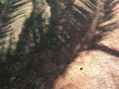 -白沙门生态公园