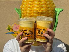 -茶救星球·蔬果茶(北京路旗舰店)