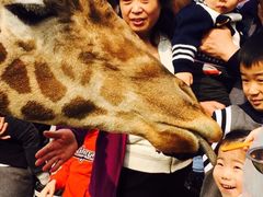 -西安秦岭野生动物园