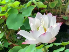 -墨宴(西洋湖店)