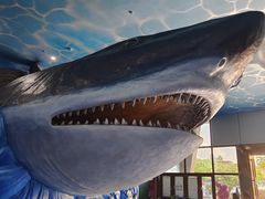 -多彩贵州城极地海洋世界