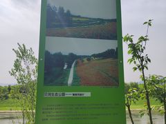 -洨河生态公园