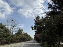 -山东八大碗山东老字号