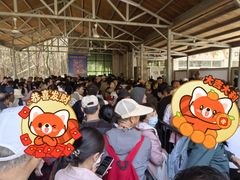 -少华山国家森林公园