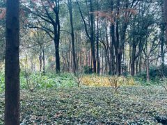 -苏州河梦清园环保主题公园