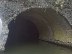 -寻龙山风景旅游区