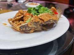 笋壳鱼-好彩海鲜火锅饭店(银河百老汇店)