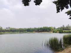 -升仙湖公园