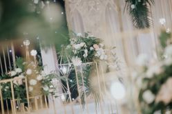 -保定金沙芝柏婚礼策划