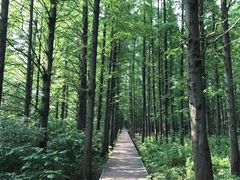 -同里国家湿地公园