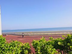 -烟台金沙滩喜来登度假酒店