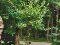 -成都杜甫草堂博物馆