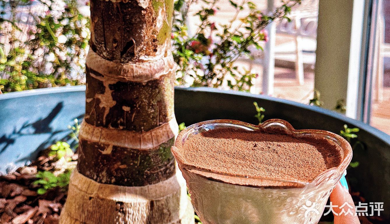 春日咖啡店COTD｜三杯咖啡·豆子都选花魁过粪么？