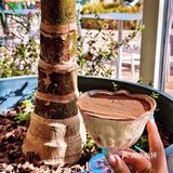 春日咖啡店COTD｜三杯咖啡·豆子都选花魁过粪么？