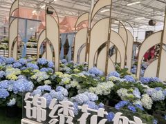-盈香心动乐园