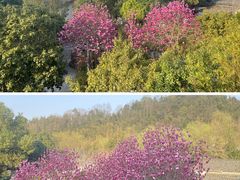 -明月山天沐温泉度假村