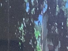 -华夏良子·足道SPA艾灸(铁道大厦店)