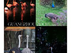 -广州动物园