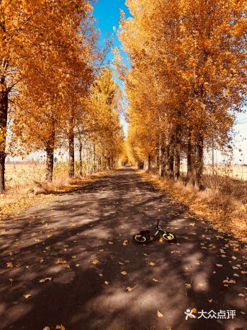 2019年10月29日 偶然发现的美景;被这美景