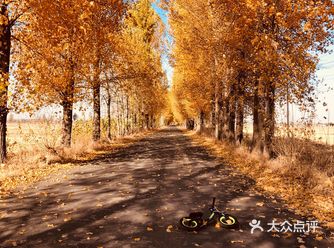 2019年10月29日   偶然发现的美景；被这美景