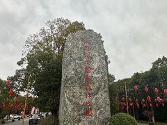 -上海海湾国家森林公园