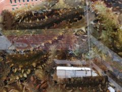 -青石桥市场北1-27号