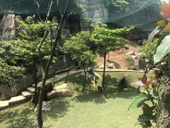 -梦幻奥陶纪景区