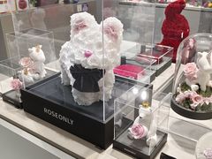 -ROSEONLY诺誓(国际广场购物中心店)