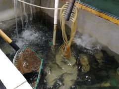 -静和鱼庄