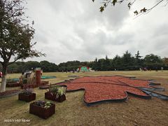 -青枫公园