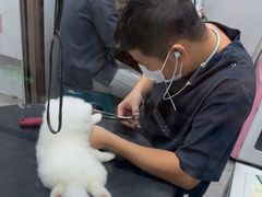 -瑞鹏宠物医院·普外科·影像科·皮肤科(城市山谷分院)