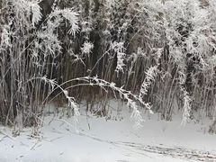 -瓦屋山景区