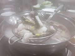 -正能量脆肉鲩火锅
