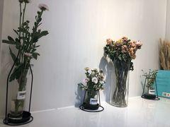 -夏叶茶(大光明店)