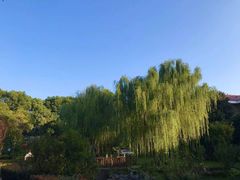 -上海虹桥迎宾馆