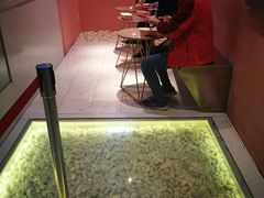 -狐狸和向日葵(北京路店)