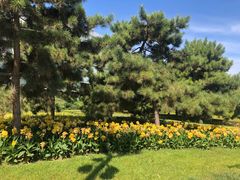-石家庄市植物园