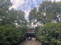 -灵谷景区