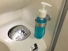 -新加坡航空公司(ION)