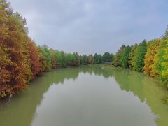 -上海海湾国家森林公园