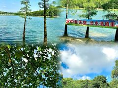 -凤岗南门山森林公园