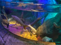 -沈阳海洋探索中心