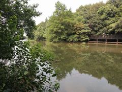 -白马涧龙池景区