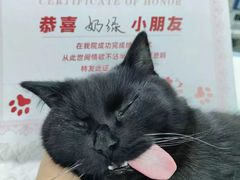 -御宝贝24h宠物医院·转诊中心·CT核磁血透中心(厦门总院)